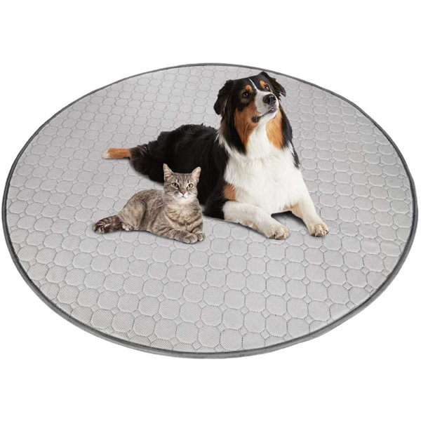 Tucker Murphy Pet™ Washable Pee Pad Dog Playpen Mat 36" Round Puppy